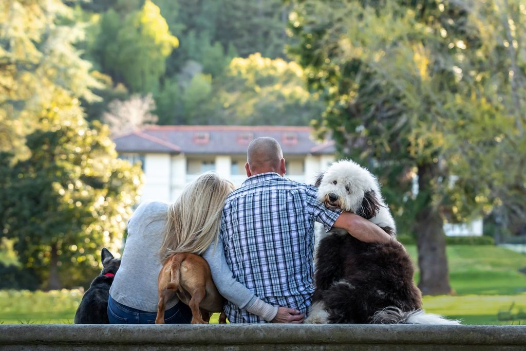 Chiens heureux
